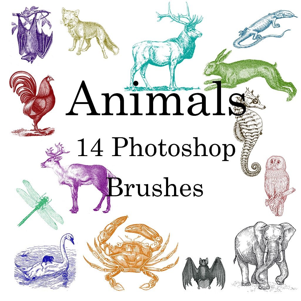 Animals Brushes Set of 14 Different Brushes Etsy Hong Kong