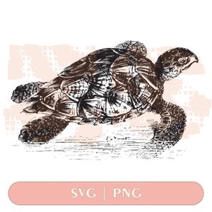 Artistic Sea Turtle SVG & PNG: Tumbler Design (Digital)