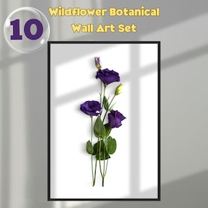 Wildflower Botanical Art Prints: Modern Floral Wall Decor (PNG Digital Download)