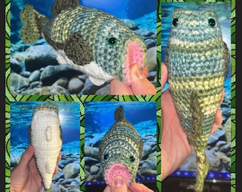 Crochet Bass Fish Plushie - HANDMADE !