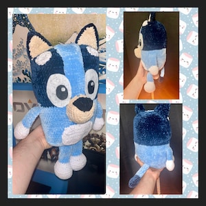 JUMBO Blue Heeler/Australian Cattle Dog