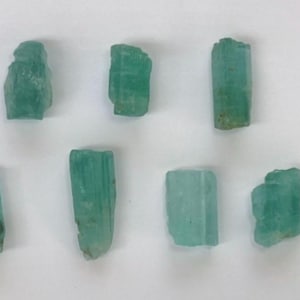 May include: Seven raw, teal-green tourmaline crystals of varying sizes are arranged on a white surface. The crystals have a rough, natural texture and exhibit a range of shades from light to deep green.