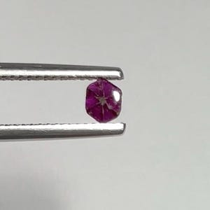Peut inclure: Une pierre précieuse de rubis magenta foncé à facettes, tenue par une pince argentée. La pierre précieuse a une forme à six côtés et un motif en forme d'étoile dans ses profondeurs. La pince est placée sur un fond blanc uni.