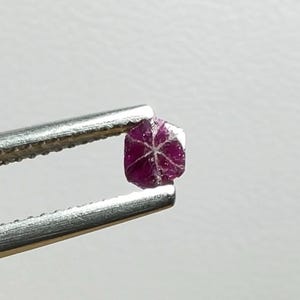 May include: A small, faceted, deep red gemstone is held by silver tweezers. The gem has a star-like pattern on its surface. The background is a plain, light grey.