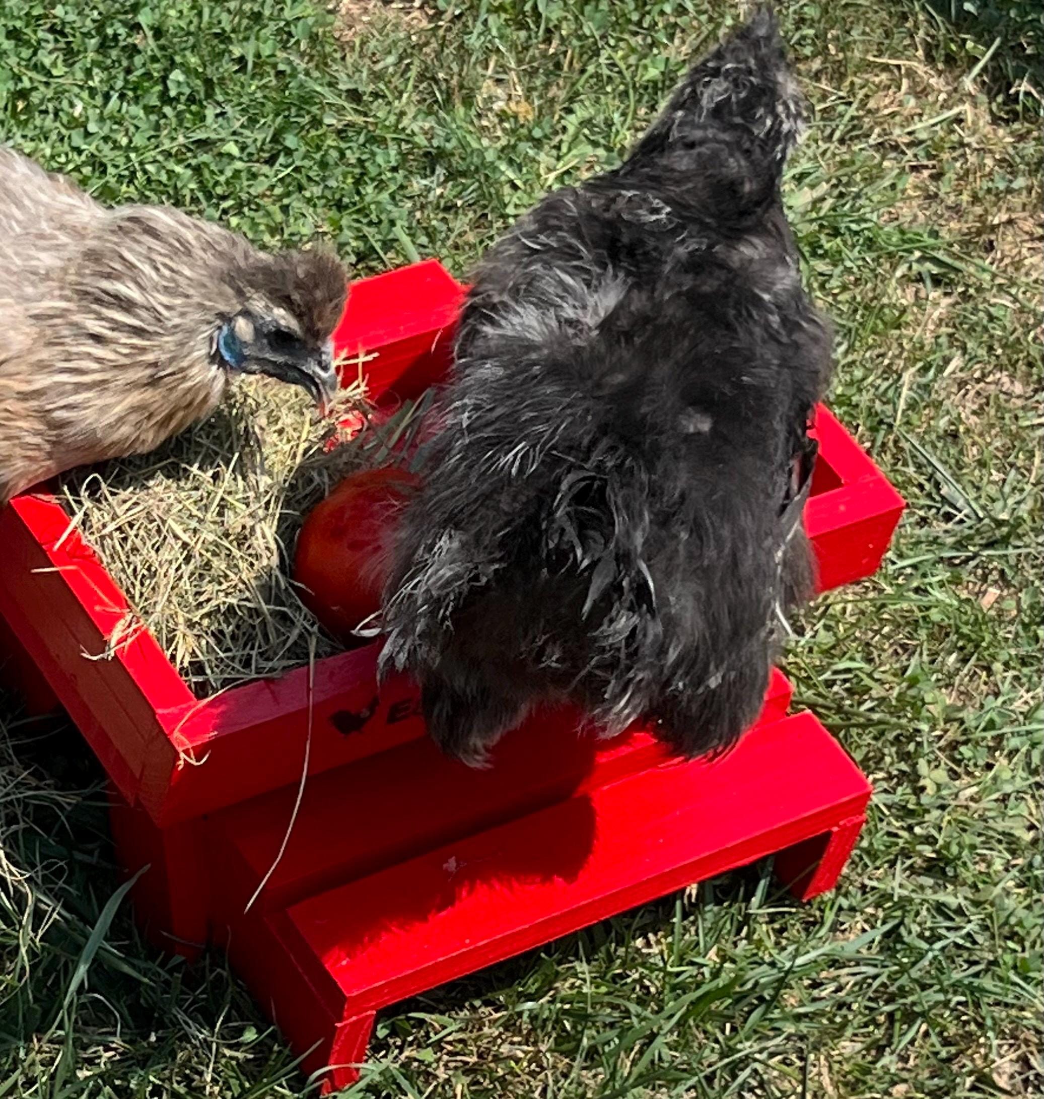 Personalized Chicknic Table-chicken Picnic Table - Etsy