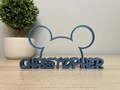 Personalized Disney Styled Name Plate, Customizable Name Plate, Disney Themed Name Plate, Birthday Gifts, Christmas Gifts, Teacher Gifts