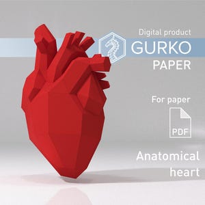 Cuore anatomico in carta, modello digitale, download PDF, Gurko, 3D Low Poly, Pepakura, scultura origami fai da te, decorazione di San Valentino