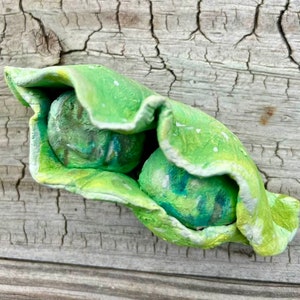 May include: A green pea pod with two peas inside. The peas are green and white with a marbled effect. The pod is made of clay and has a textured surface.