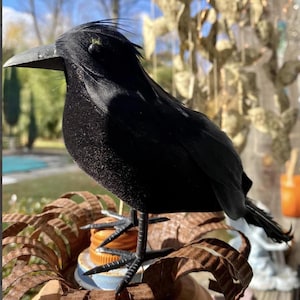 Halloween Raven bird black crow decoration floral ornament Poe feathered raven stuffed  craft design  goth creepy supplies artificial prop