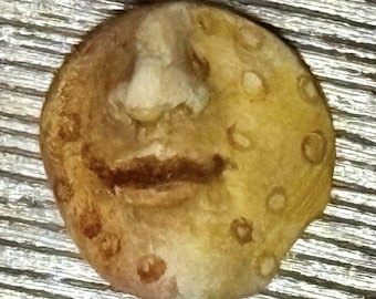 May include: A round, tan-colored object with a sculpted face. The face has a prominent nose, a dark brown mustache, and a smiling mouth. The object has a textured surface with several small, circular indentations, resembling a celestial body.