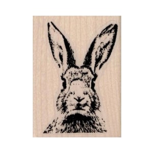 Rabbit head RUBBER STAMP bunny rabbits Easter face animal pet 19383