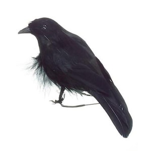 May include: A black artificial crow figurine covered in dark feathers with a pointed beak and small dark eyes. The bird is depicted in a standing position with its wings folded against its body and a thin wire attached to its feet for mounting.