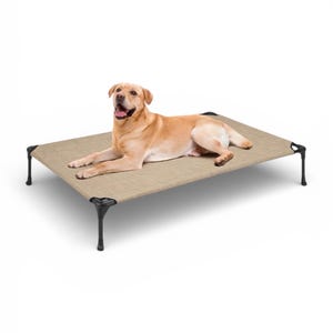 May include: A tan dog bed with black legs. A golden Labrador Retriever is lying on the bed, looking at the camera. The bed has a breathable mesh surface, perfect for keeping pets cool and comfortable.