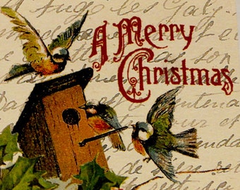 French ephemera "A Merry Christmas" holiday cards with birds - set of 8