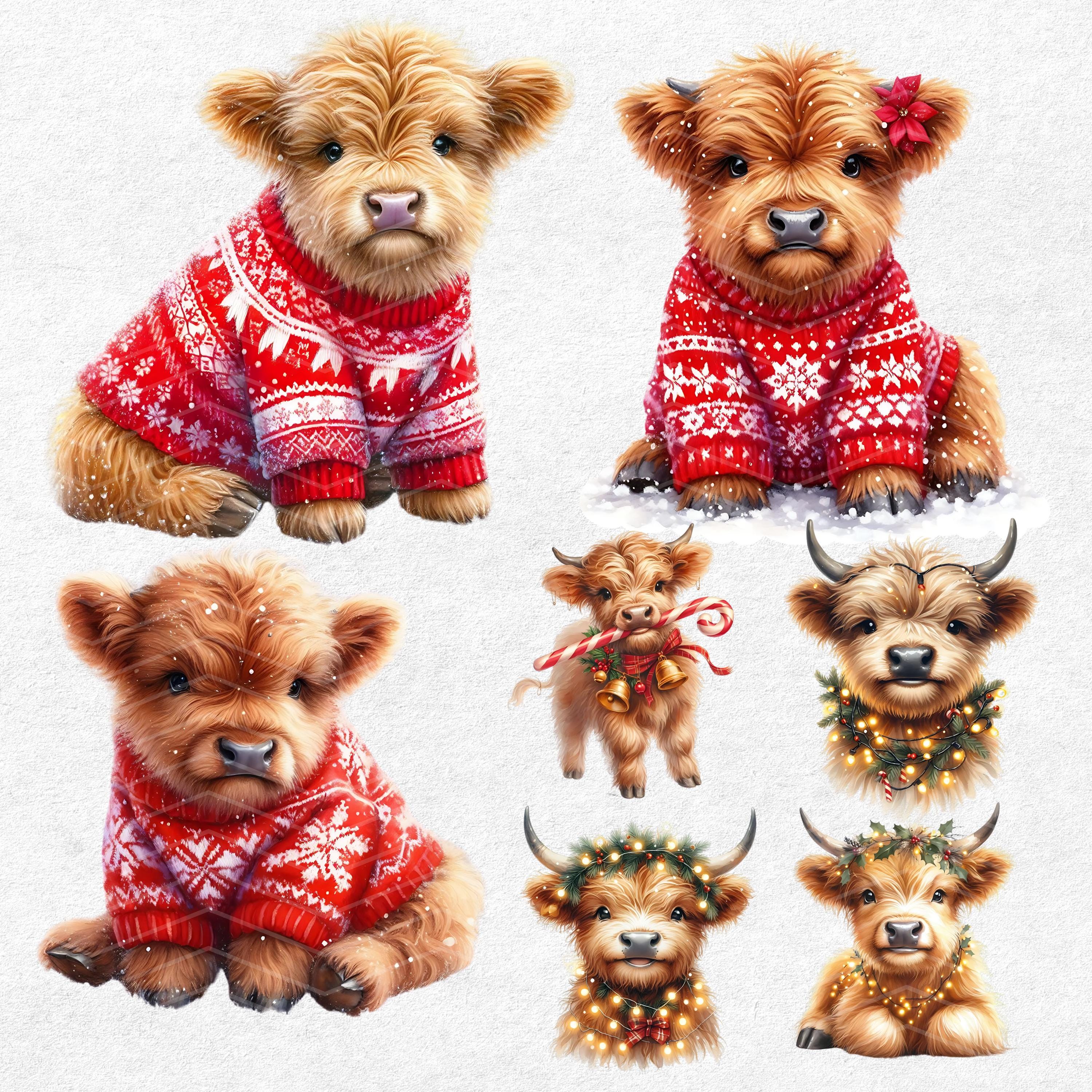 Christmas Highland Cow Clipart, Cute Christmas Baby Highland Cow PNG ...