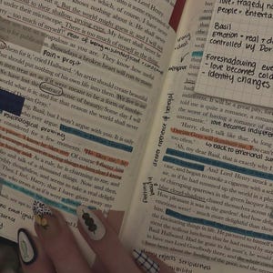Custom Annotated Books | Study Notes | Colour-Coded Tabs | Literary Analysis