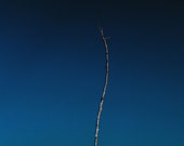Sad stick against blue sky Matte Print