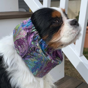 May include: A small dog wearing a purple, green, and blue marbled fabric ear cover. The ear cover is made of soft fabric and has a comfortable fit.