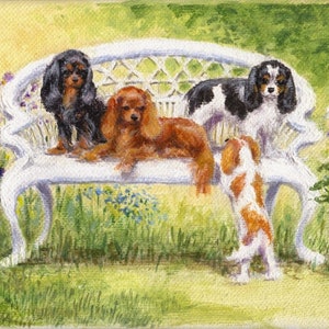 Cartões de felicitações Cavalier ~ Coleção 2009 - Em branco por dentro