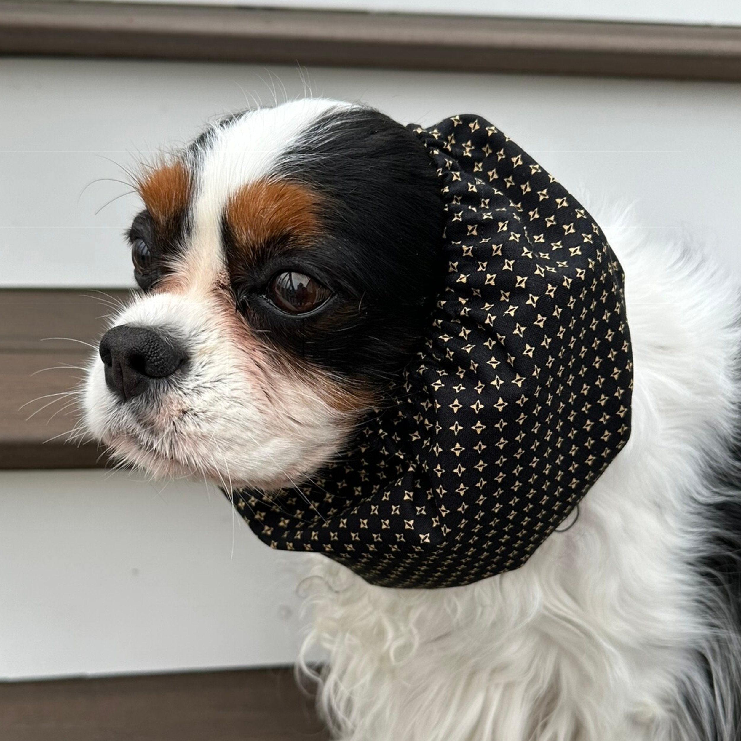 pet stop fencing