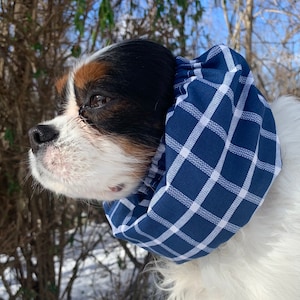 Puede incluir: Un perro Cavalier King Charles Spaniel con un pañuelo para el cuello a cuadros azul marino y blanco. El perro tiene marcas negras, blancas y marrones. El fondo muestra una escena nevada al aire libre con árboles.