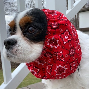 Cavalier Snood  ~  Bandana