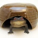 see more listings in the TOAD HOUSES/GARDEN Items section