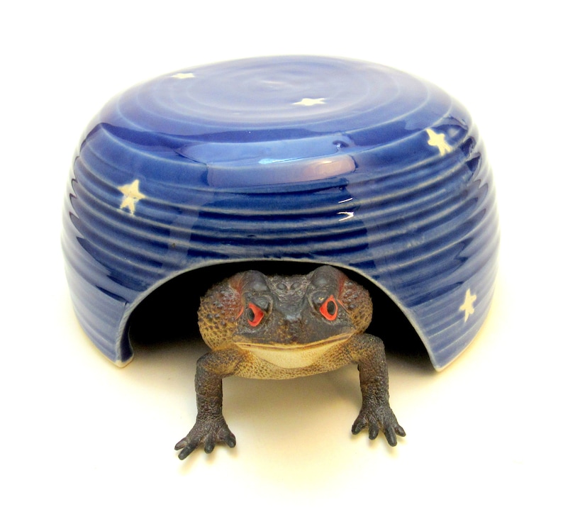 Toad House/Toad home/Toad Abode/Hamster House/Garden Art image 1
