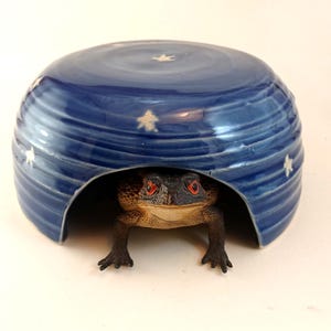May include: A ceramic frog house with a blue, dome-shaped roof. The roof has white star accents and a swirling pattern. A detailed frog with red eyes peeks out from the opening, creating a whimsical decorative piece.