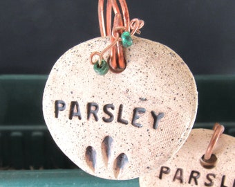 Pottery Herb Marker/Garden Herb Marker, For the Home, Garden Marker--PARSLEY