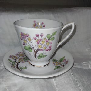 Royal Albert flower of the month coffee cup and saucer May Hawthorn 1970s