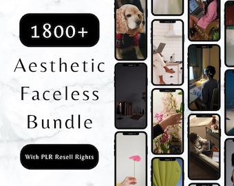Faceless Aesthetic Reels Bundle PLR — 1800 Faceless High-End Videos for Rebrand & Resale