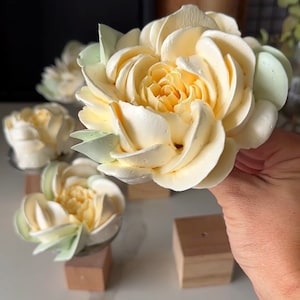 Juego de ribetes Peonie XXL
