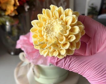 May include: A large, pale yellow dahlia flower, held by a person wearing a pink glove. The flower has many layered petals. The flower is in front of a pink tissue paper and a light green teacup.