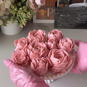 Könnte beinhalten: Ein Teller mit rosa blütenförmigen Desserts. Die Desserts sind auf einem weißen Teller mit gewelltem Rand angeordnet. Die Blüten haben eine zarte rosa Farbe und scheinen aus einem zarten Material zu bestehen. Rosa Handschuhe halten den Teller.