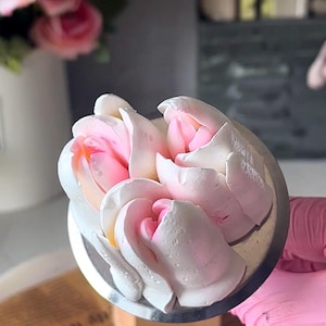 SEHR GROSSES 60 mm XXL Tulpen-Paspol