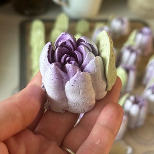 NEUE Form 40 mm Tulpe SET