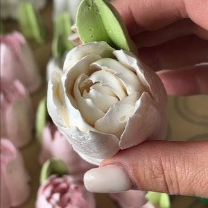 Set di tubi Tulip XXL da 40 mm