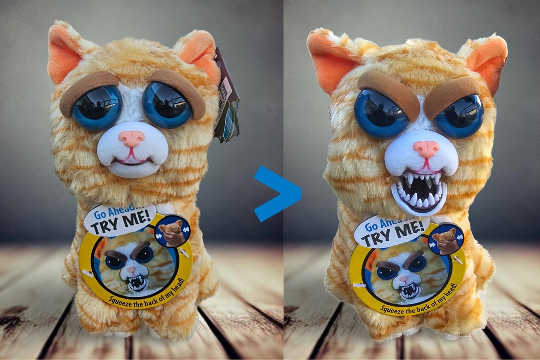 Feisty Pets: Princess Pottymouth Plush Stuffed Cat Israel