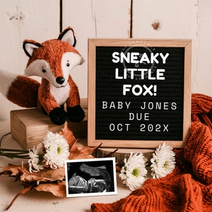 Woodland Fox Pregnancy Announcement Digital Baby Announcement Gender Reveal Social Media Reveal Editable Template