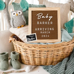 Owl Pregnancy Announcement Editable Template, Woodland Forest Animals Theme It's a Boy Gender Neutral Social Media Digital Baby