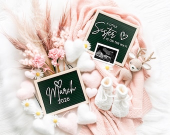 May include: A green letter board with the text "A little sister is on the way!" and a sonogram image. A second green letter board says "March 2026". The boards are surrounded by white and pink fluffy hearts, a pink blanket, and a crocheted deer.