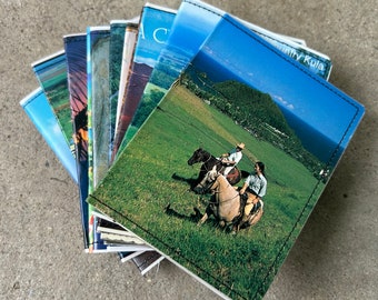 Slim Wallet- Vintage Maui Postcards- Choose 1