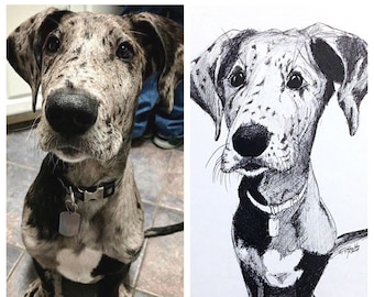 Custom Pet Drawing - Pen & Ink w/ FREE SHIPPING