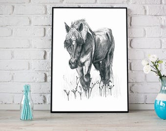 Horse - Animals with Glasses Series 8x10 & Free Shipping