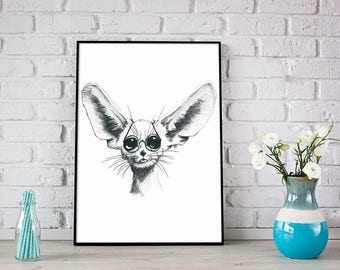 Fennec Fox - Animals with Glasses Series 8x10 & Free Shipping