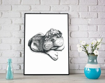 Smushy Face Dog - Animals with Glasses Series 8x10 & Free Shipping
