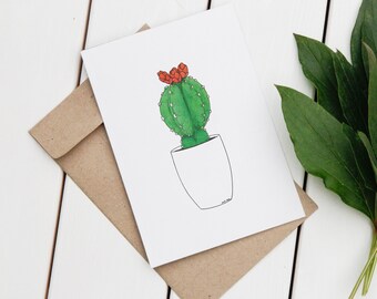 Succulent #6