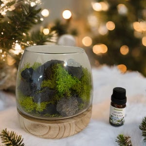 DIY Lava Rock Stone Diffuser with Air Plant | Moss | Essential Oil Diffuser | Pure Diffuser | Natural Stone Diffuser | Aroma Oil | Gift Wrap