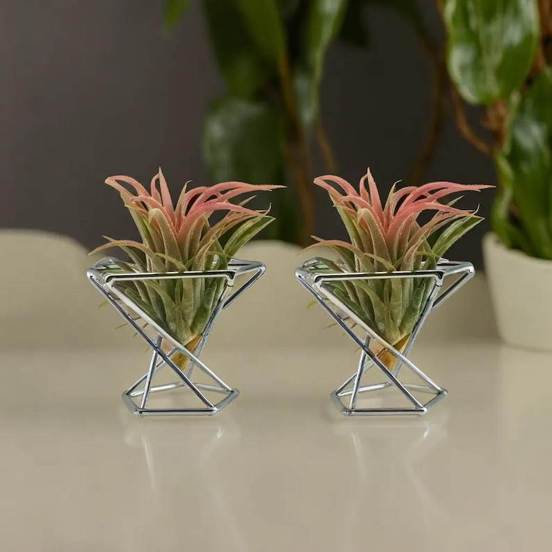 Geometric Air Plant Holders Sets of 2 | Plant Succulent Display Rack | Metal Tillandsia Plant Holder | Air Plant Stand | Air Plant Display